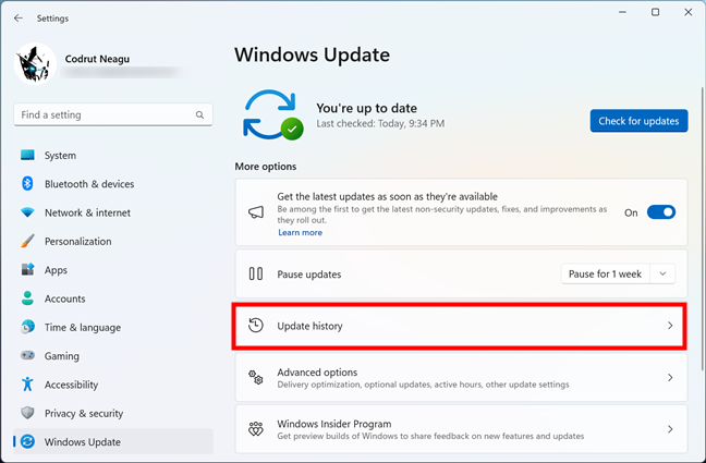 Head to Update history in Windows 11