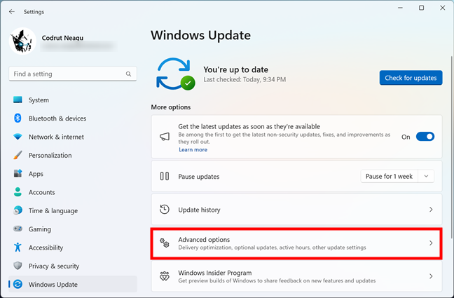 Advanced options in Windows Update