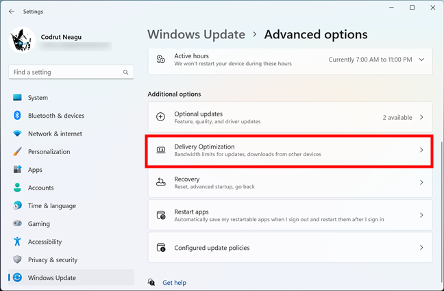 Delivery Optimization in Windows 11