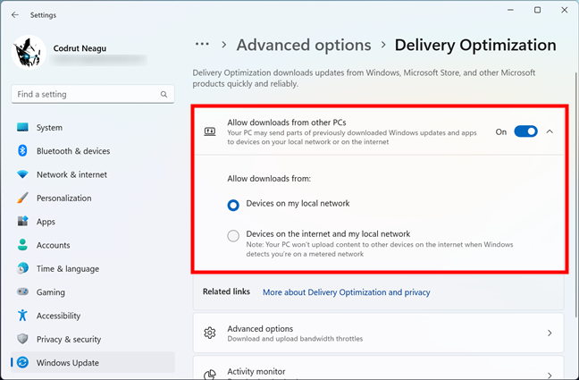Allow downloads from other PCs in Windows 11