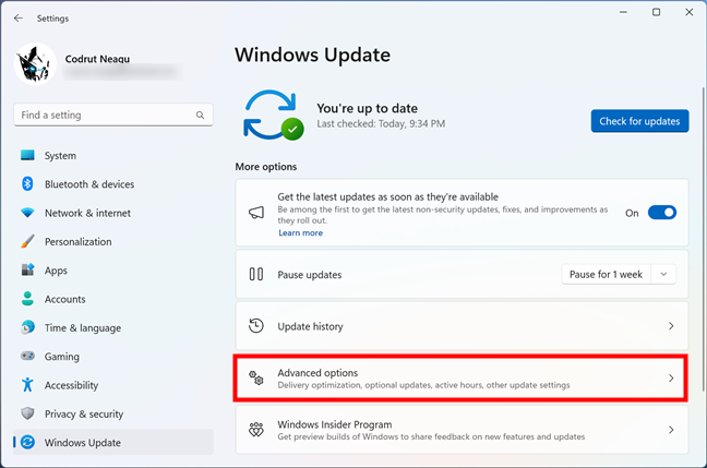Advanced options for Windows Update