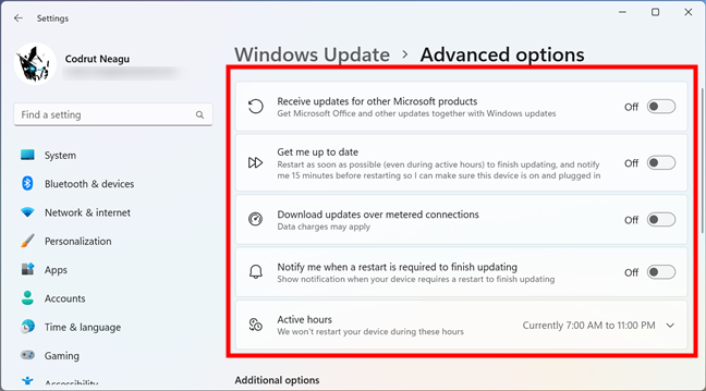 Other controls for Windows 11 updates