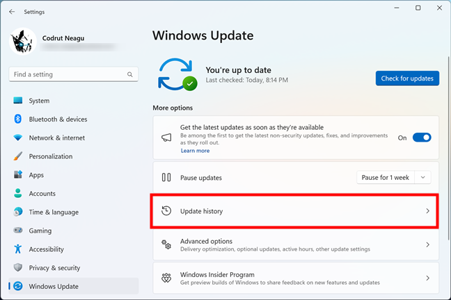 How to get to Windows 11's Update history