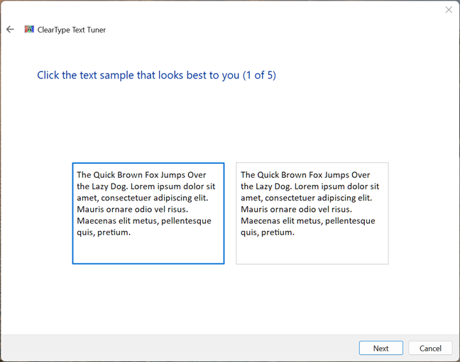 Sample 1: Choose the one that looks best to you