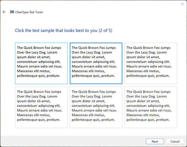 Sample 2: Choose the one that looks best to you