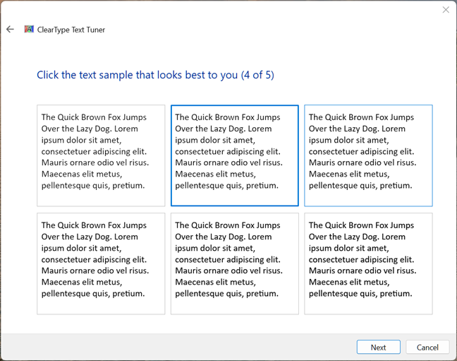 Sample 4: Choose the one that looks best to you