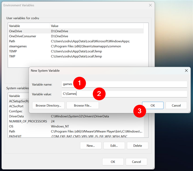 Entering the name and value of a New System Variable