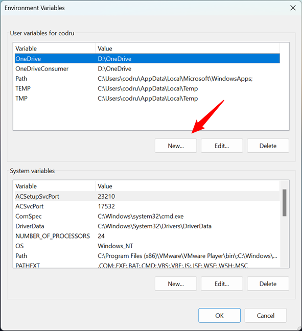 The Environment Variables window