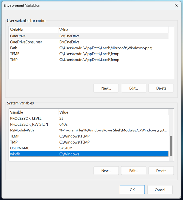 Environment user and system variables in Windows