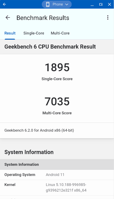 Benchmark results in Geekbench 6