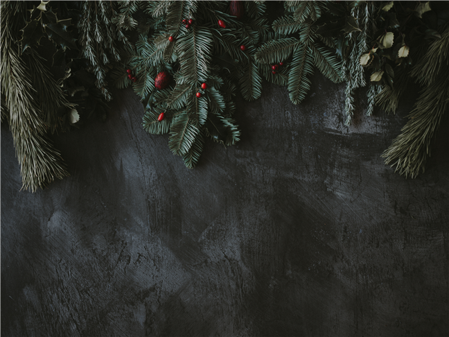 Gray pine leaves on gray surface by Annie Spratt