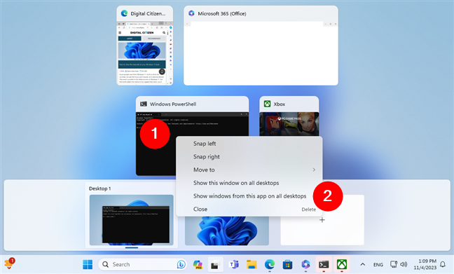 Show windows from this app on all desktops