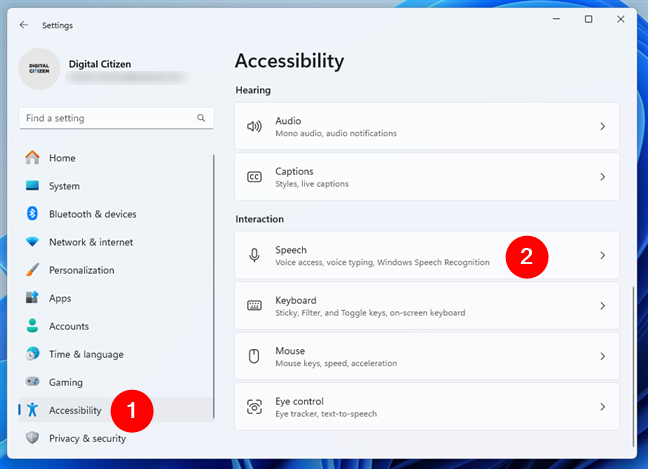 Open Settings, select Accessibility, and click Speech