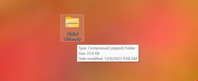 A ZIP file in Windows