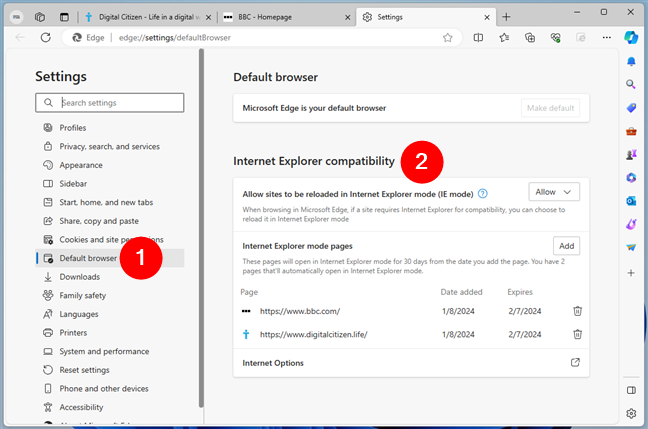 Internet Explorer compatibility