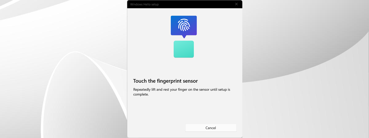 Fingerprint recognition (Windows Hello)