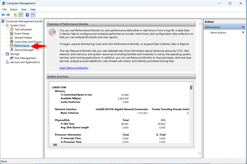 Click Performance inside Computer Management