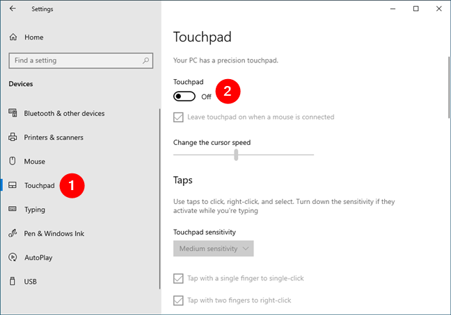 Select Touchpad and disable the Touchpad switch