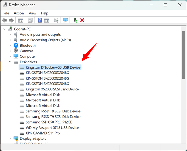 A hidden device listed by the Device Manager