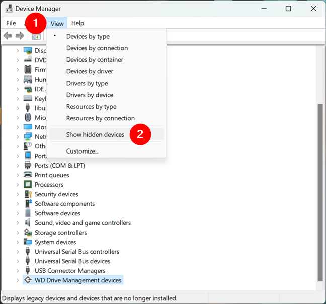 Show hidden devices in Device Manager