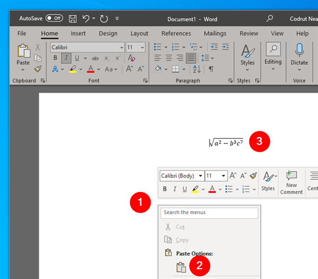 Pasting a math expression into Word