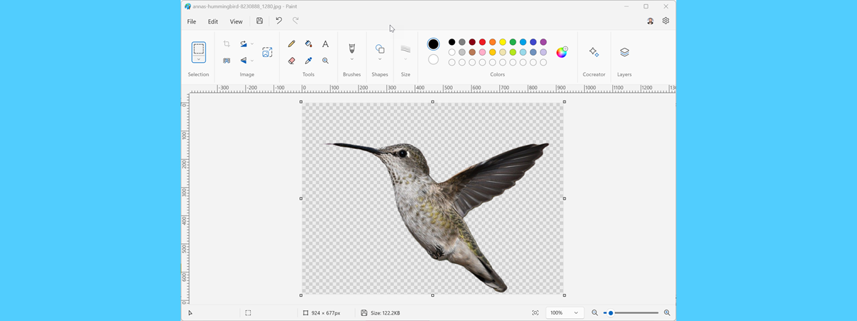 How to remove the background from a picture with Paint in Windows 11