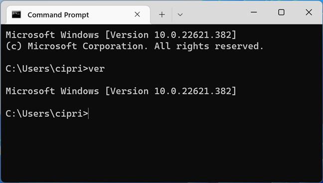 The ver command returns less information