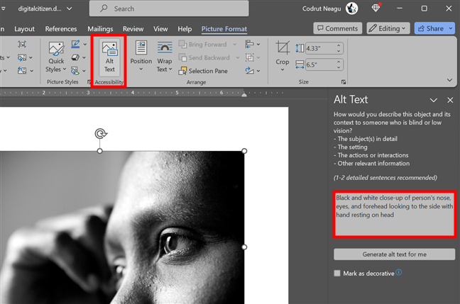 How to add alternative text to a picture or shape