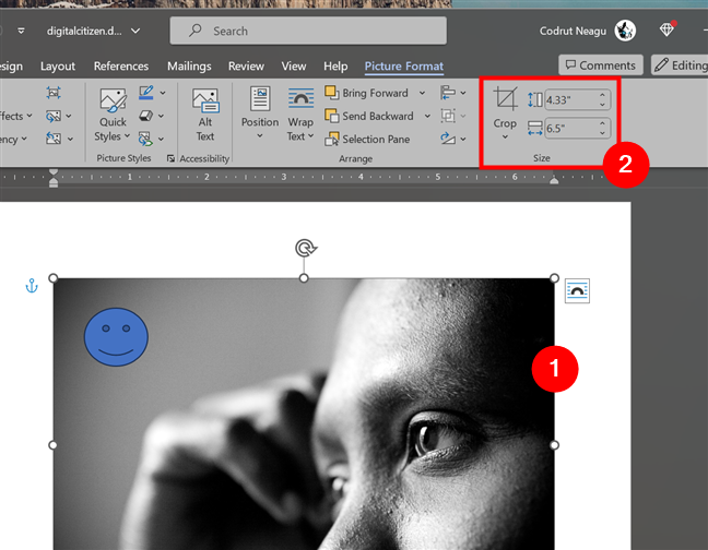Crop and resize a picture or shape in Word
