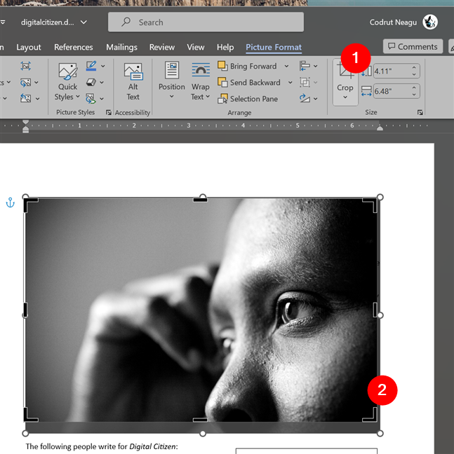 How to crop an image in Word