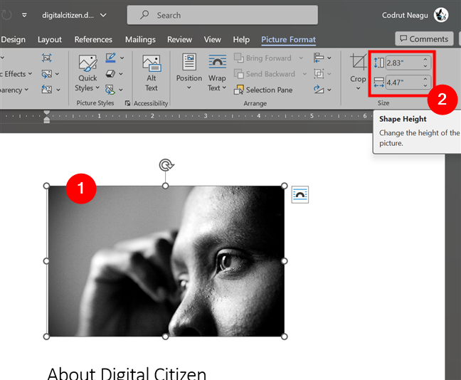 How to change the size of a picture or shape in Word