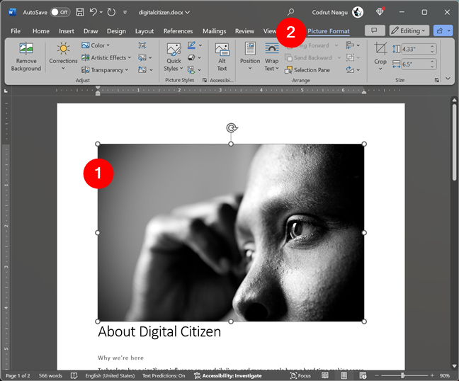 The Picture Format section in Word