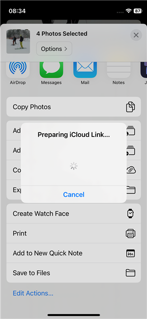 Preparing iCloud Link