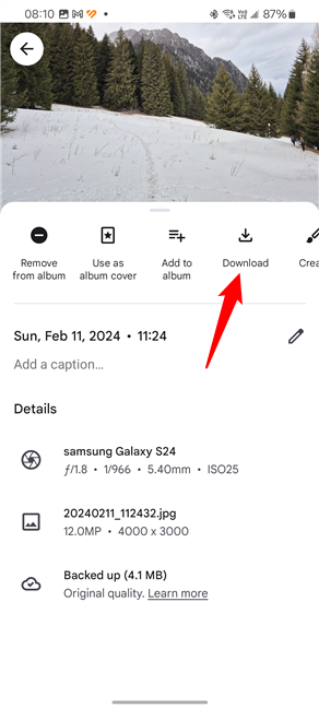 Tap Download to get the photo in the phone's storage