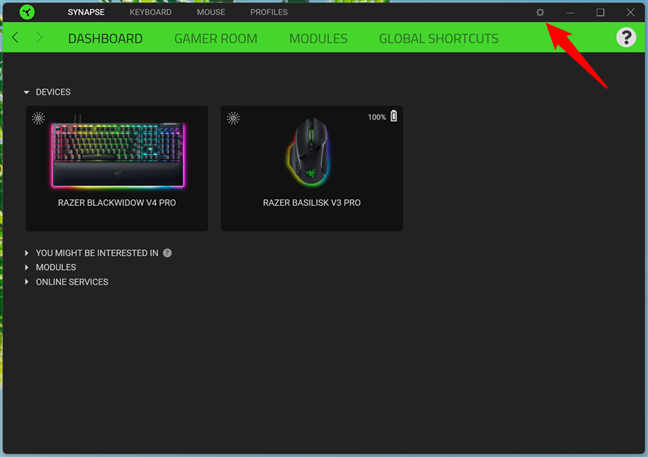 Access the Settings in Razer Synapse