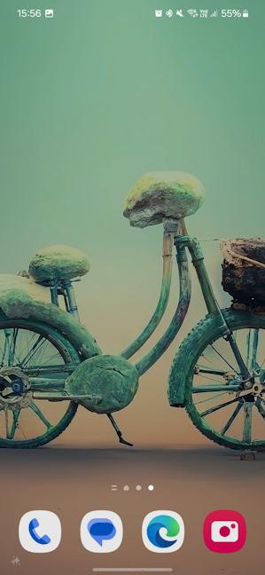 Do you like my stone bicycle?