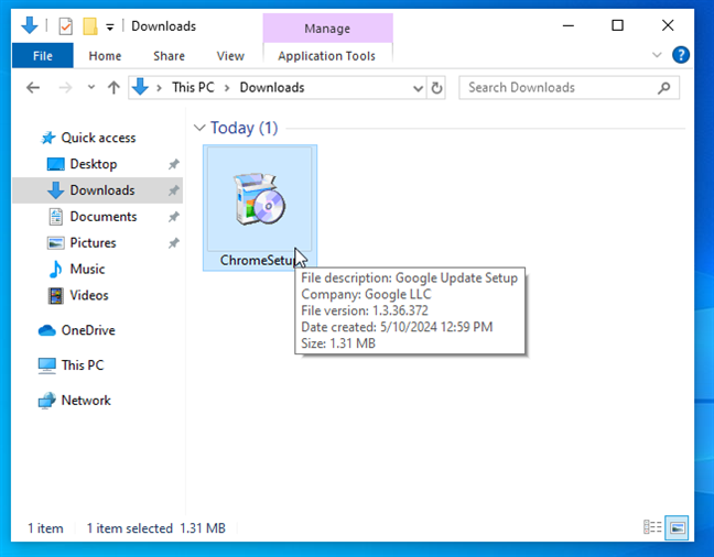 The ChromeSetup executable file