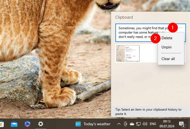Deleting pinned items from the clipboard