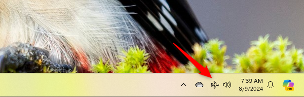 The Airplane mode icon in Windows 11