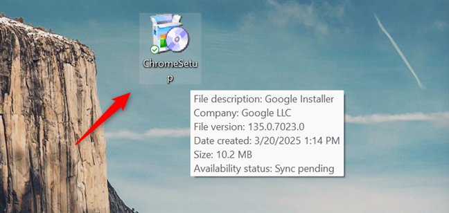 The ChromeSetup executable file
