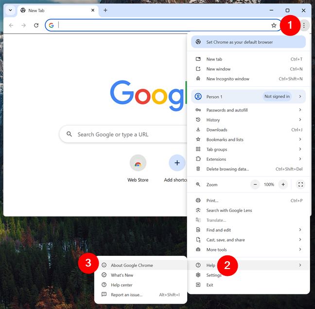 About Google Chrome
