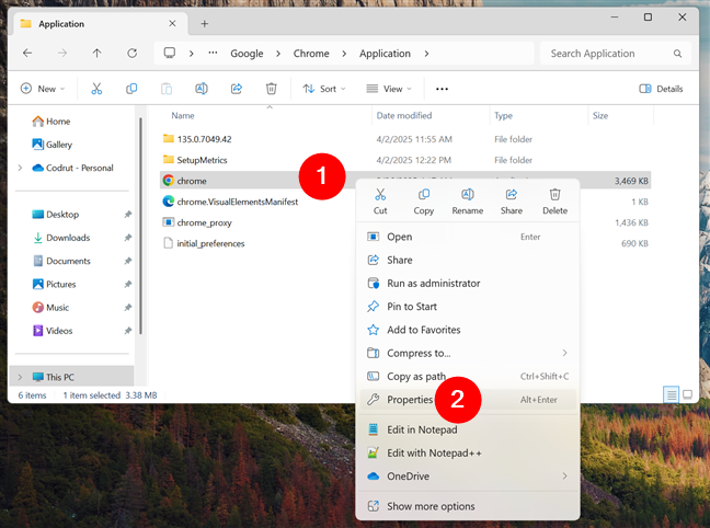 Open the chrome.exe Properties