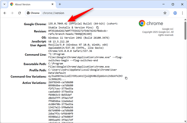 Check Chrome's version on a computer