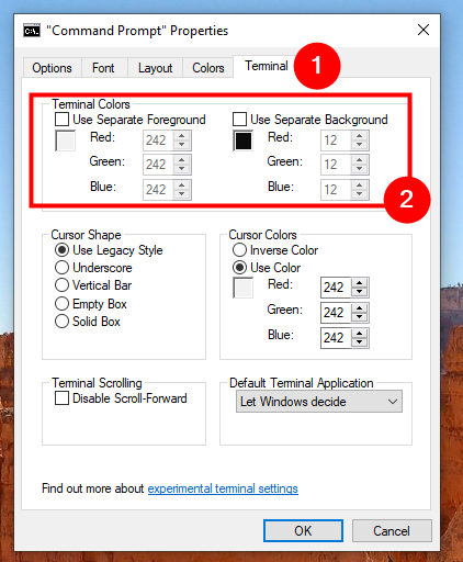 The Terminal Colors section
