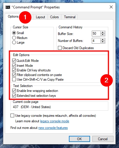 Edit Options and Text Selection affect both text input and output