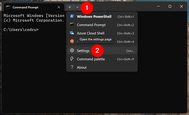 Access the Windows Terminal Settings