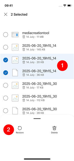 Restore deleted files from the OneDrive app for iPhone