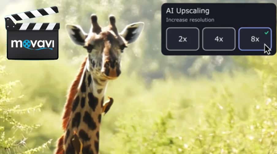 MOVAVI Video Converter