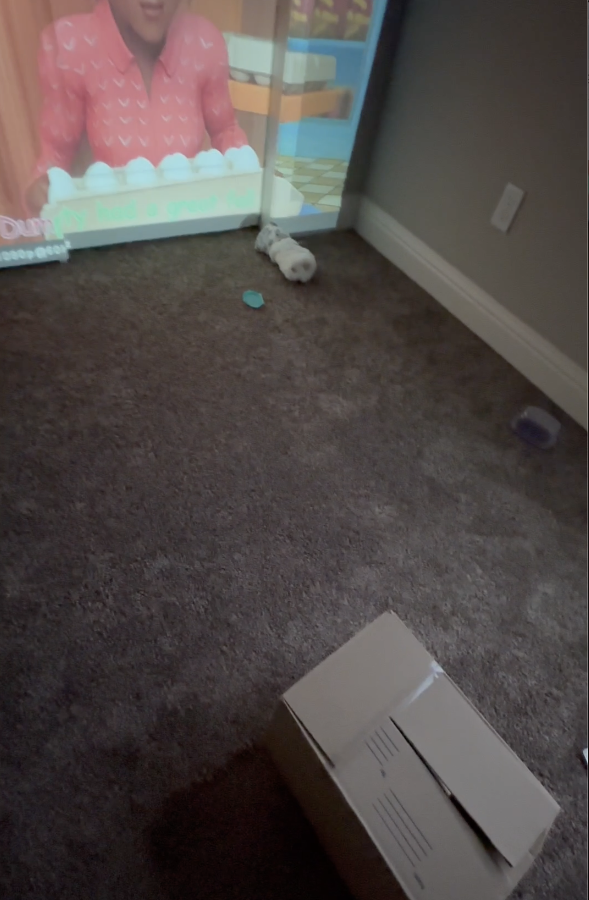 Watching video from homemade projector