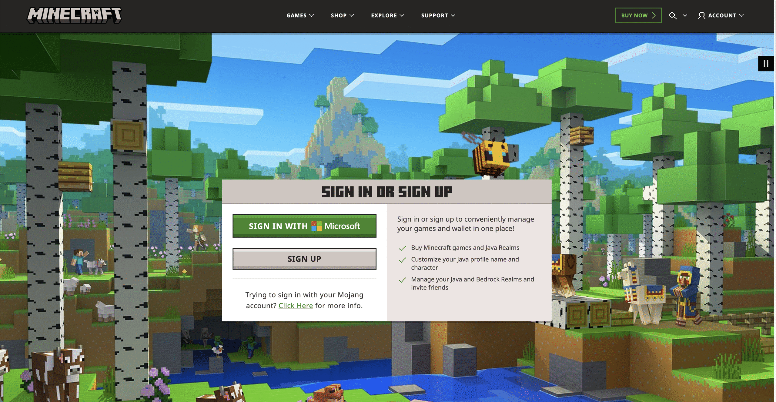 official minecraft server login screen